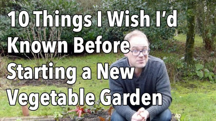 10 Things I Wish I’d Known Before Starting a New Vegetable Garden