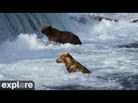 Riffles - Katmai National Park, Alaska powered by EXPLORE.org