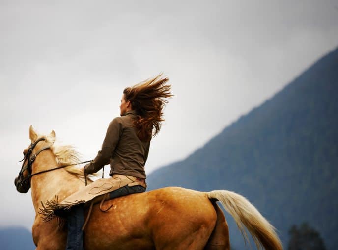 symbol of power, horse therapy, equine therapy