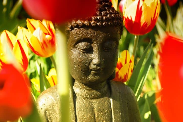 buddha, path to enlightenment