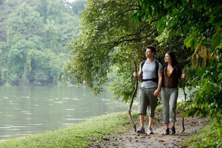 healing forests, forest bathing, shinrin yoku, forest therapy, National Great Outdoors Month, mindful living, ourmln, mindful living network, kathleen hall
