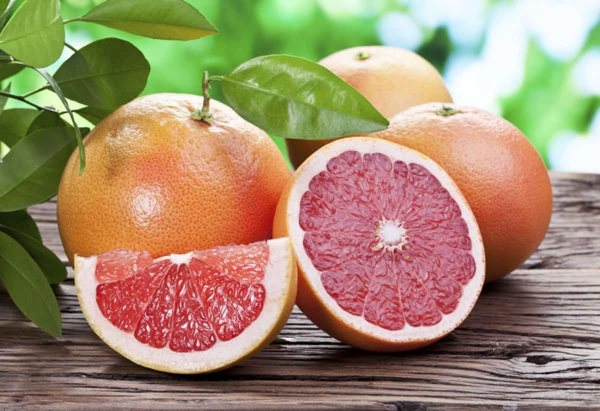 national grapefruit month, grapefruit
