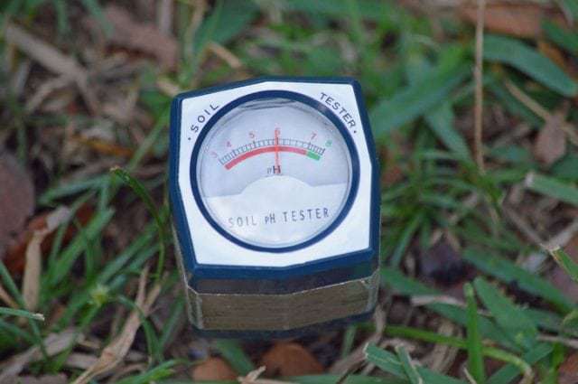 3 natural soil boosters, Mindful Gardening, Mindful Living Network